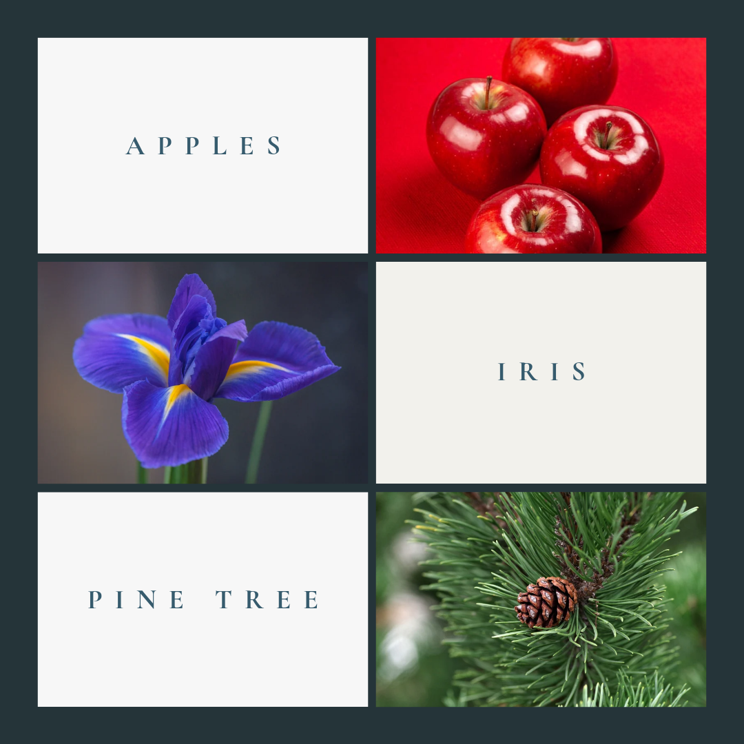 Rasple Extrait De Parfum