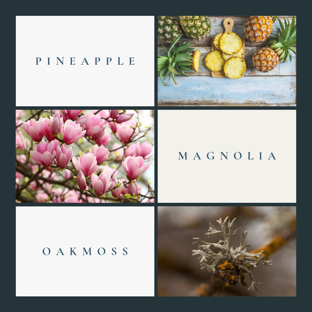 1° North Extrait De Parfum