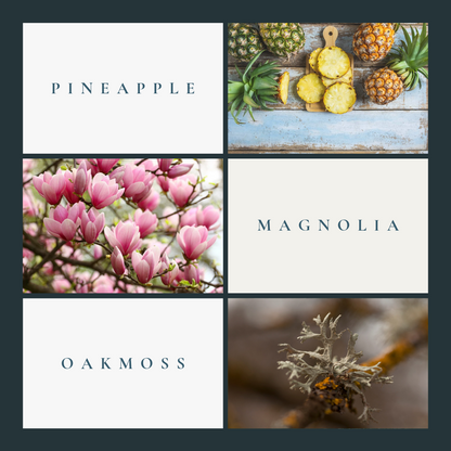 1° North Extrait De Parfum